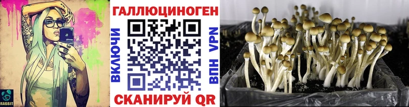 даркнет сайт KRAKEN маркетплейс Псилоцибиновые грибы Magic Shrooms Михайловка