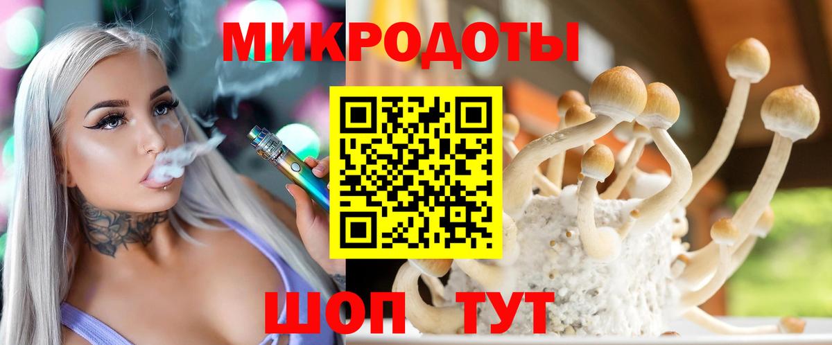Галлюциногенные грибы GOLDEN TEACHER  купить   Михайловка  Вход с VPN 