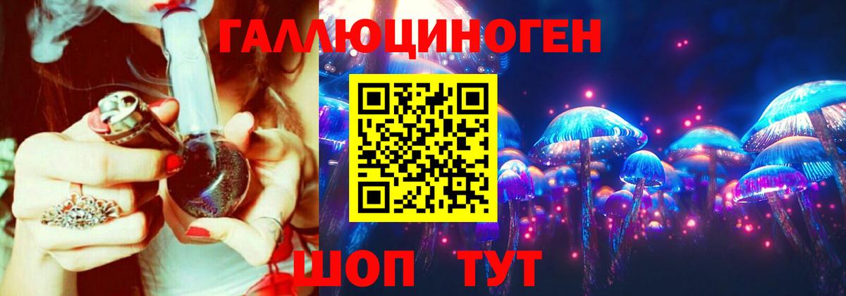 Псилоцибиновые грибы мицелий Михайловка