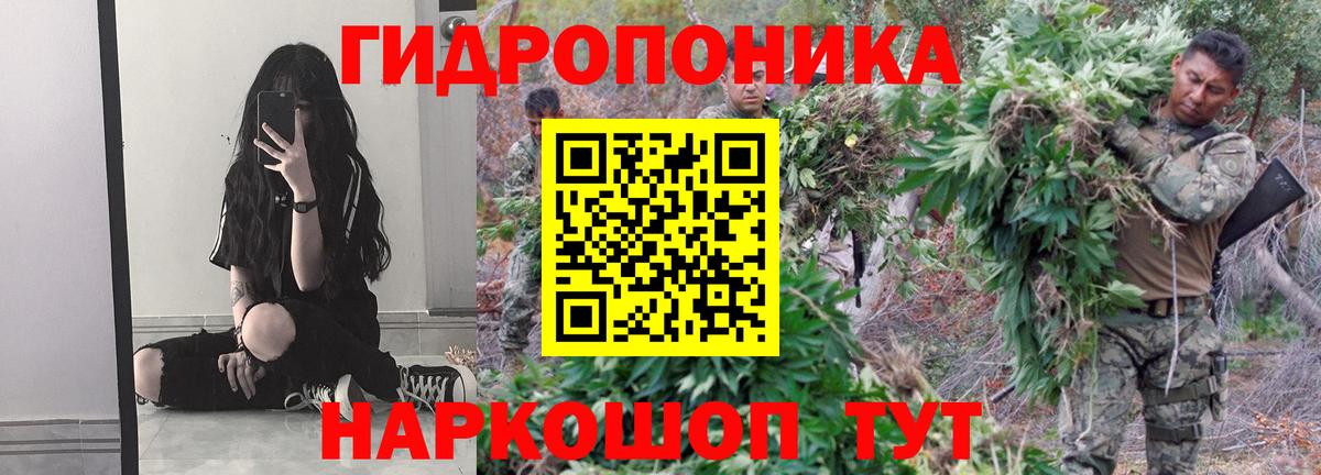 Михайловка  Бошки марихуана марихуана  Марихуана гибрид  Шишки марихуана индика  Вход с VPN 